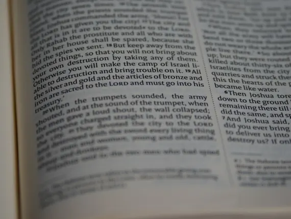 ΤοπΤαλλυ Καζίνο Υποστηριξη